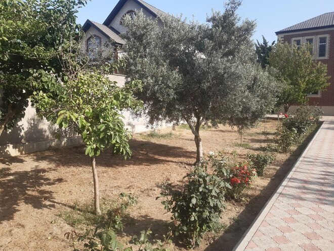 4 otaqlı həyət evi/bağ evi - Fatmayı q. - 216 m² (26)