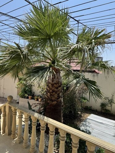 4 otaqlı həyət evi/bağ evi - 7-ci mikrorayon q. - 250 m² (6)