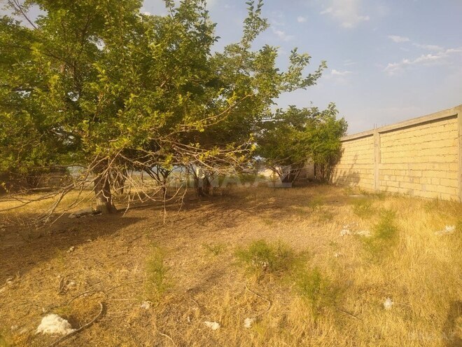 Torpaq - Qobustan q. - 40 sot (6)