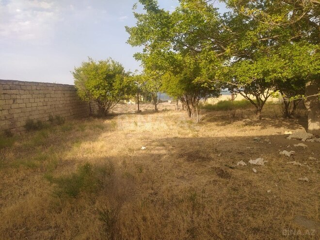 Torpaq - Qobustan q. - 40 sot (5)