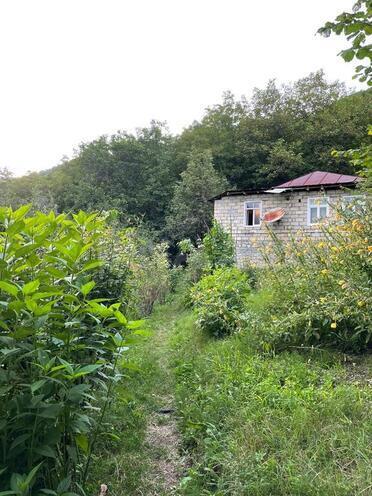 3 otaqlı həyət evi/bağ evi - İsmayıllı - 80 m² (1)