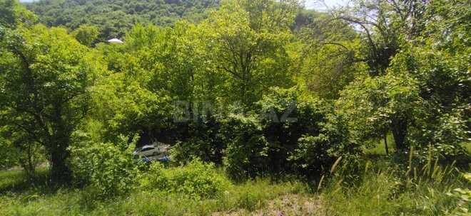 3 otaqlı həyət evi/bağ evi - İsmayıllı - 80 m² (3)