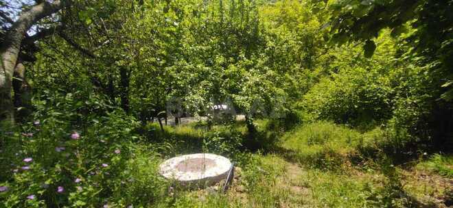 3 otaqlı həyət evi/bağ evi - İsmayıllı - 80 m² (5)
