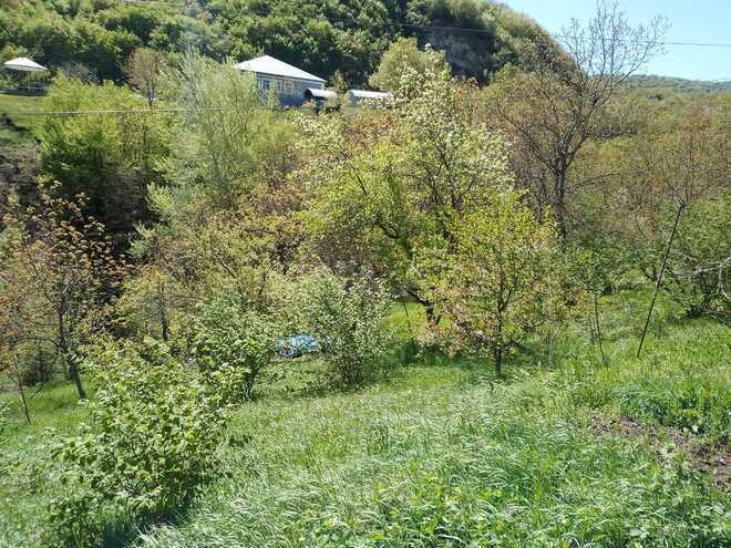 3 otaqlı həyət evi/bağ evi - İsmayıllı - 80 m² (6)