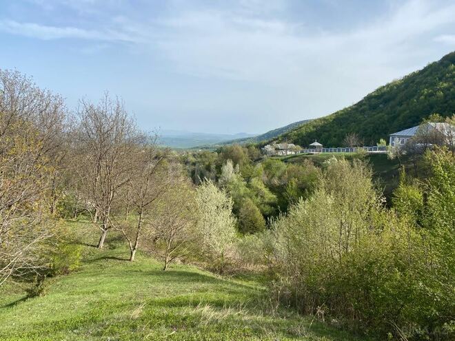3 otaqlı həyət evi/bağ evi - İsmayıllı - 80 m² (9)