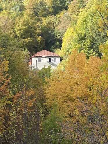 3 otaqlı həyət evi/bağ evi - İsmayıllı - 80 m² (10)
