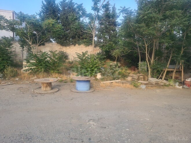 Obyekt - 7-ci mikrorayon q. - 420 m² (9)