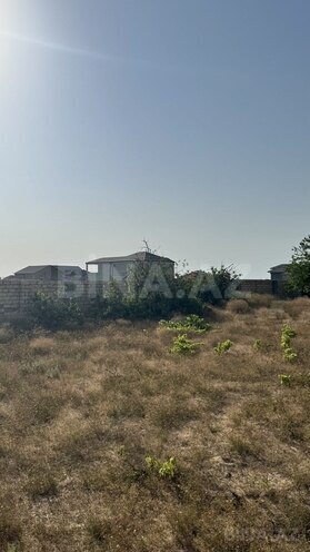 Участок - пос. Нардаран - 12 сот (11)