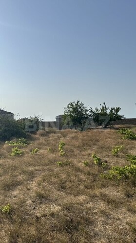 Участок - пос. Нардаран - 12 сот (10)