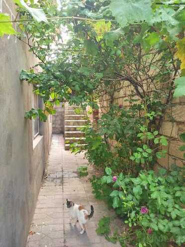 4 otaqlı həyət evi/bağ evi - Badamdar q. - 130 m² (13)