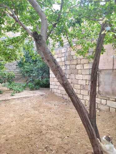 4 otaqlı həyət evi/bağ evi - Badamdar q. - 130 m² (12)