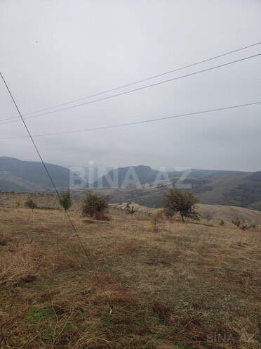 Torpaq - Şamaxı - 30 sot (9)