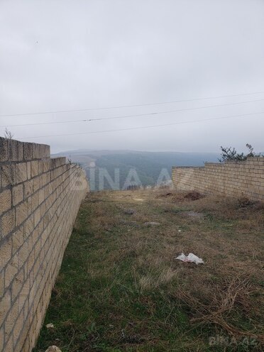 Torpaq - Şamaxı - 30 sot (3)