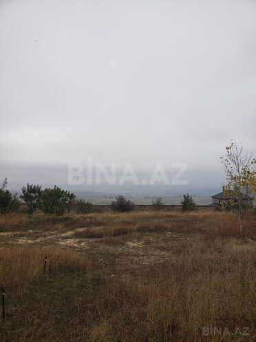 Torpaq - Şamaxı - 30 sot (15)