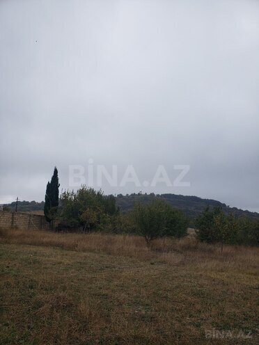 Torpaq - Şamaxı - 30 sot (5)