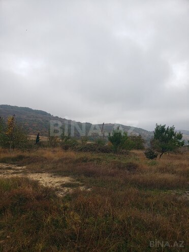 Torpaq - Şamaxı - 30 sot (14)