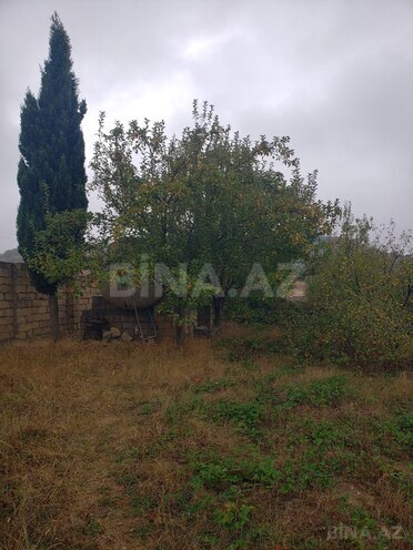 Torpaq - Şamaxı - 30 sot (18)