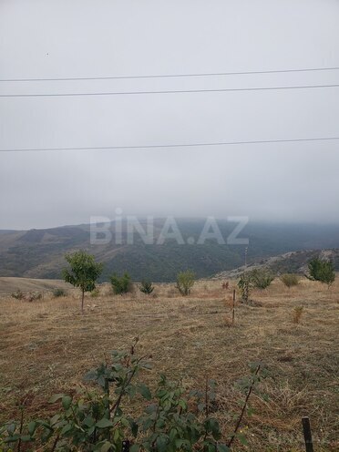 Torpaq - Şamaxı - 30 sot (10)