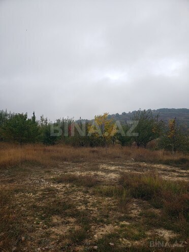 Torpaq - Şamaxı - 30 sot (13)