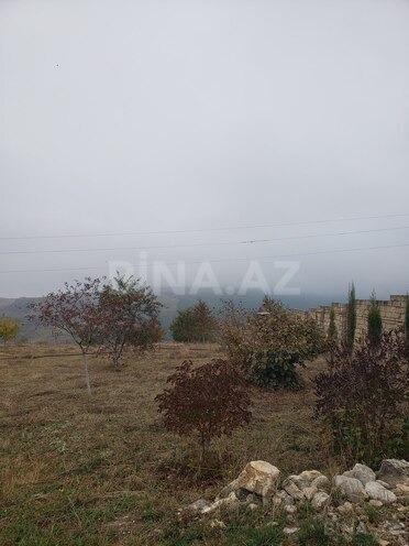 Torpaq - Şamaxı - 30 sot (16)