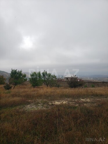 Torpaq - Şamaxı - 30 sot (12)