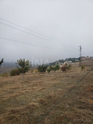 Torpaq - Şamaxı - 30 sot (8)