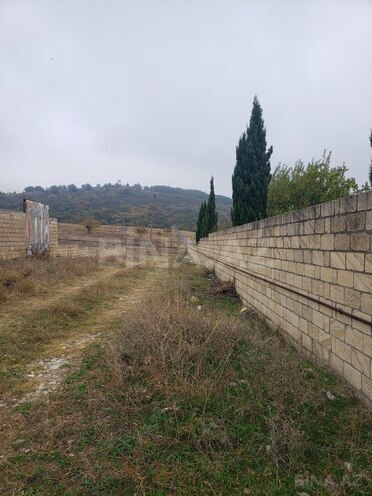 Torpaq - Şamaxı - 30 sot (2)
