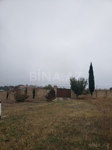 Torpaq - Şamaxı - 30 sot (11)