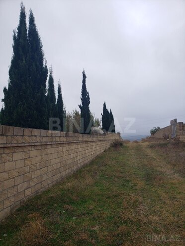Torpaq - Şamaxı - 30 sot (1)