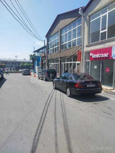 Obyekt - Zaqatala - 480 m² (2)