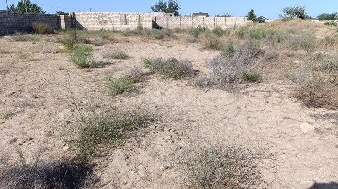 Участок - пос. Нардаран - 25 сот (2)