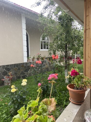 4 otaqlı həyət evi/bağ evi - Qəbələ - 160 m² (21)