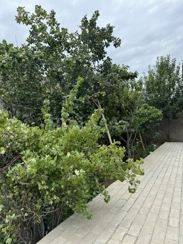 6 otaqlı həyət evi/bağ evi - Mehdiabad q. - 300 m² (14)
