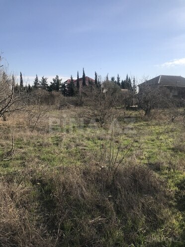 Участок - пос. Нардаран - 32 сот (17)