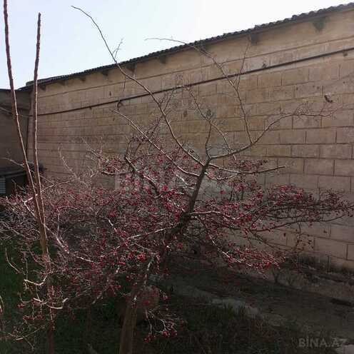 Torpaq - Qaraçuxur q. - 16 sot (13)