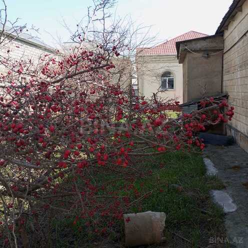Torpaq - Qaraçuxur q. - 16 sot (16)