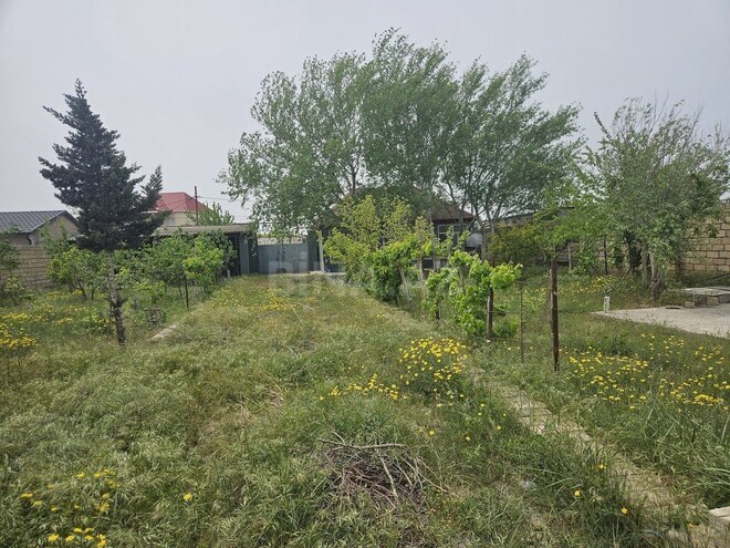 Участок - пос. Нардаран - 5 сот (2)