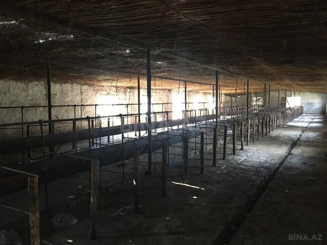 Объект - Ширван - 2000 м² (2)