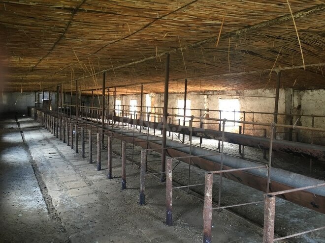 Объект - Ширван - 2000 м² (1)