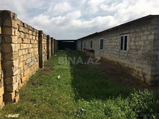 Объект - Ширван - 2000 м² (8)