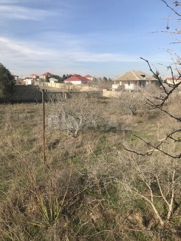 3 otaqlı həyət evi/bağ evi - Nardaran q. - 120 m² (16)