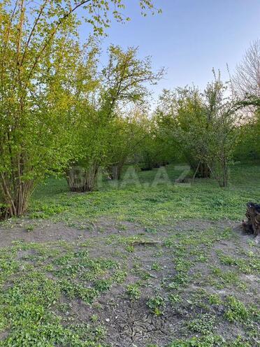 Участок - Габала - 24 сот (5)