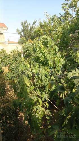 4 otaqlı həyət evi/bağ evi - Masazır q. - 140 m² (11)
