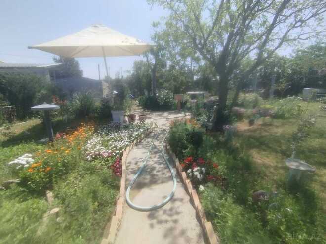 7 otaqlı həyət evi/bağ evi - Xəzər r. - 370 m² (5)