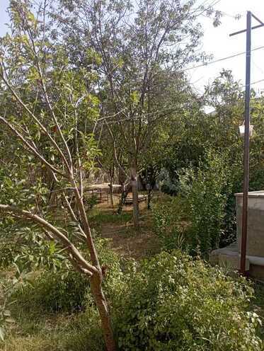 4 otaqlı həyət evi/bağ evi - Yeni Ramana q. - 130 m² (10)