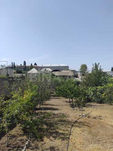 5 otaqlı həyət evi/bağ evi - Gəncə - 300 m² (3)