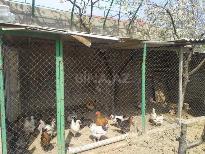 3 otaqlı həyət evi/bağ evi - Fatmayı q. - 80 m² (11)
