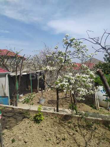 3 otaqlı həyət evi/bağ evi - Fatmayı q. - 80 m² (28)