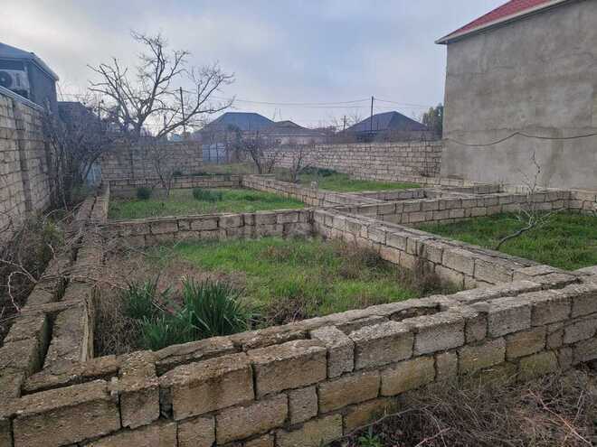 Torpaq - Buzovna q. - 4 sot (2)