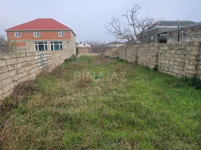 Torpaq - Buzovna q. - 4 sot (1)